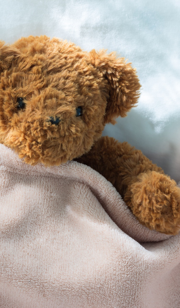 Плюшевый медведь в кровати под одеялом