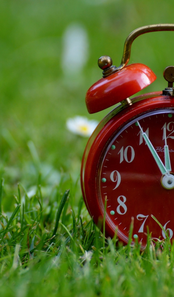 Красный будильник стоит на зеленой траве