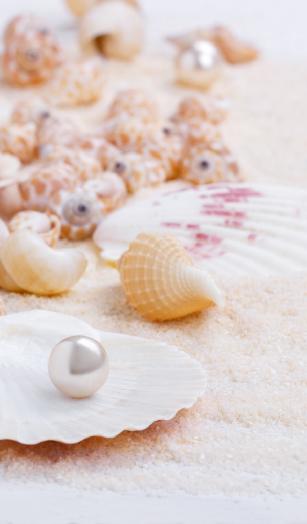 Ракушки с жемчужинами на белом песке 
