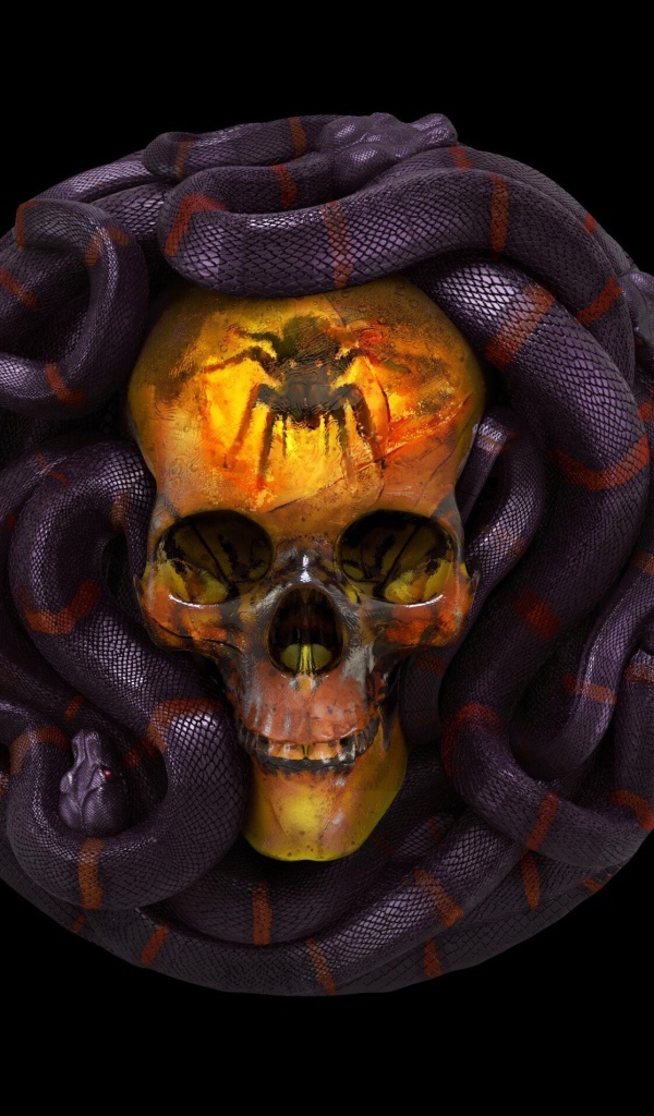 Череп со змеями на черном фоне