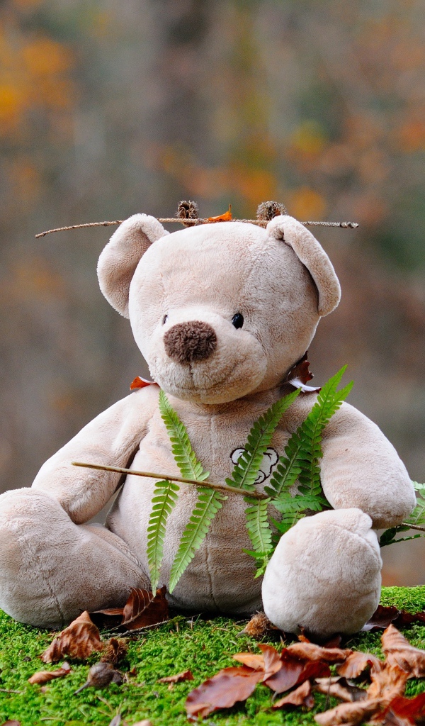 Медвежонок Тедди сидит в лесу на покрытой мхом земле