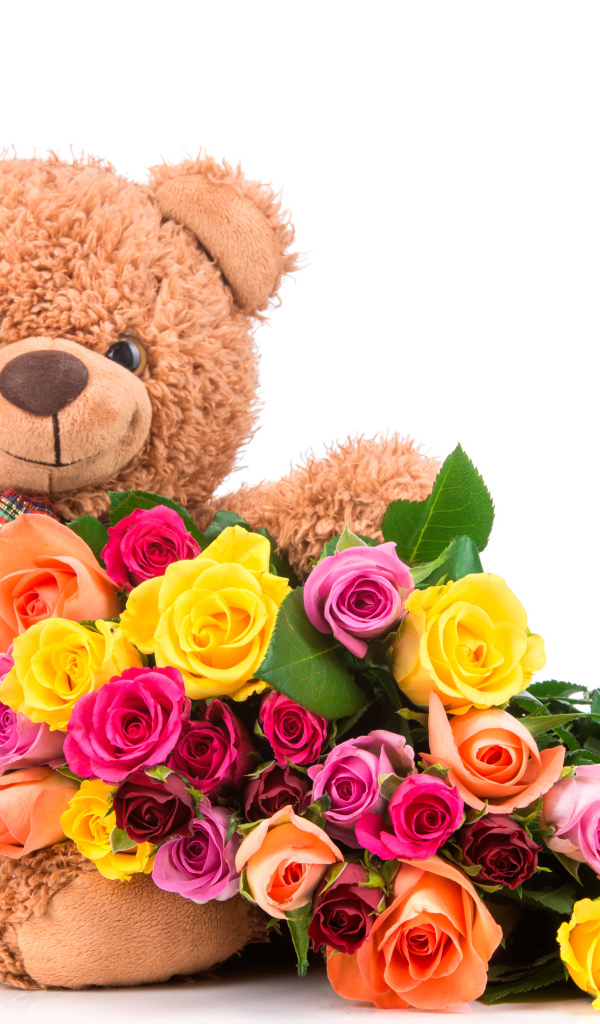 Плюшевый медведь с букетом разноцветных роз на белом фоне
