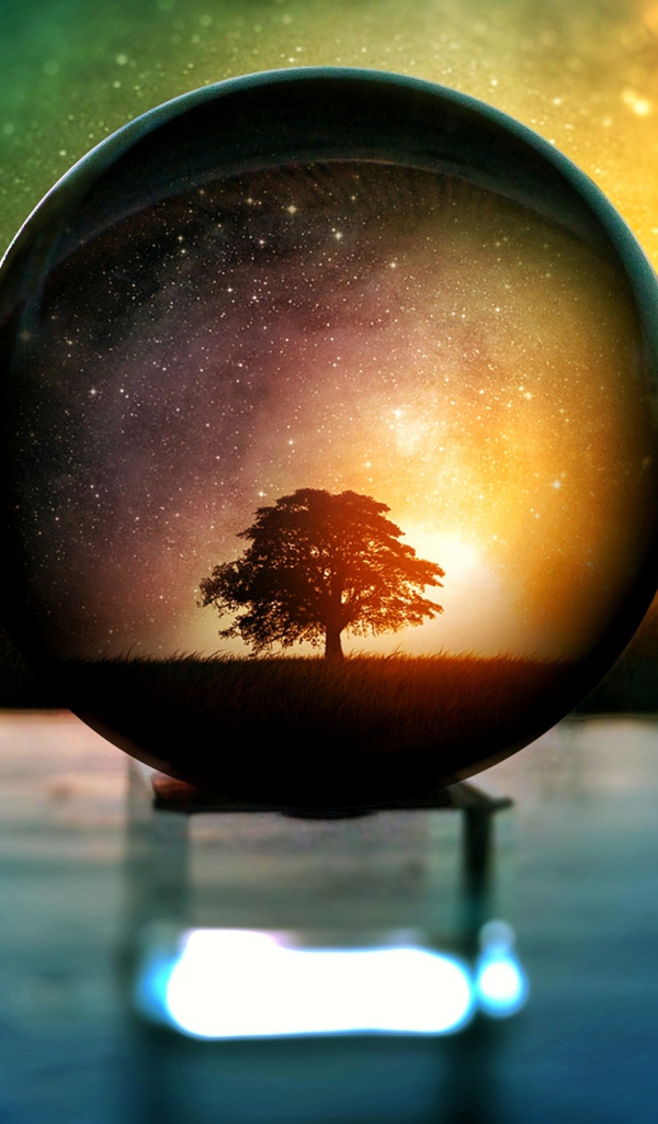 Дерево  отражается в стеклянном шаре