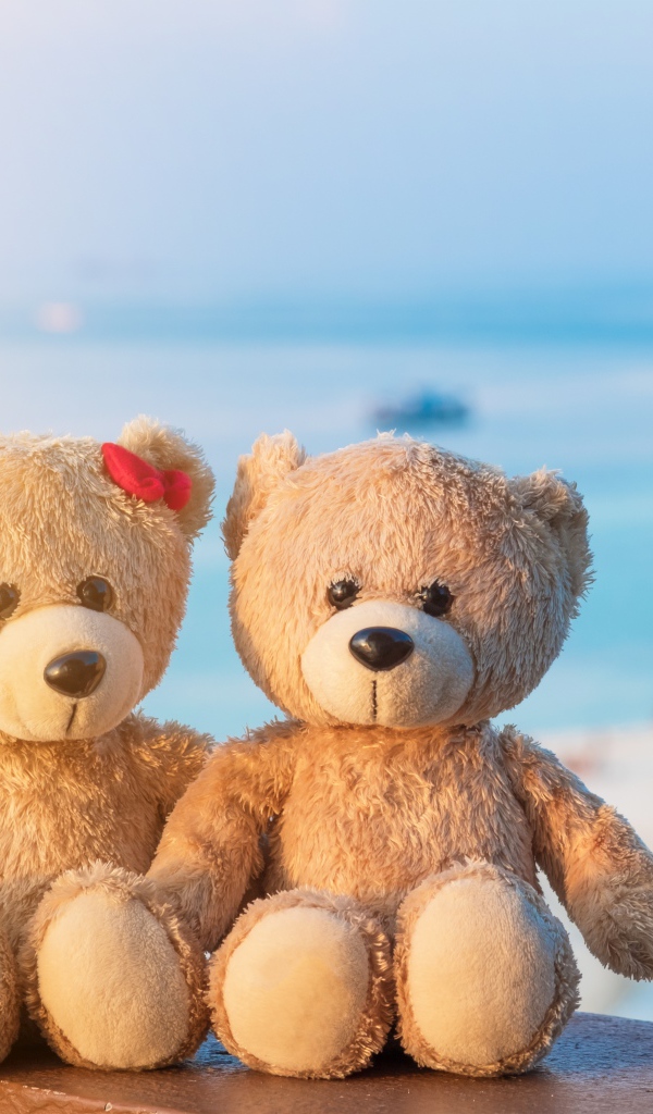 Два плюшевых медведя на фоне моря