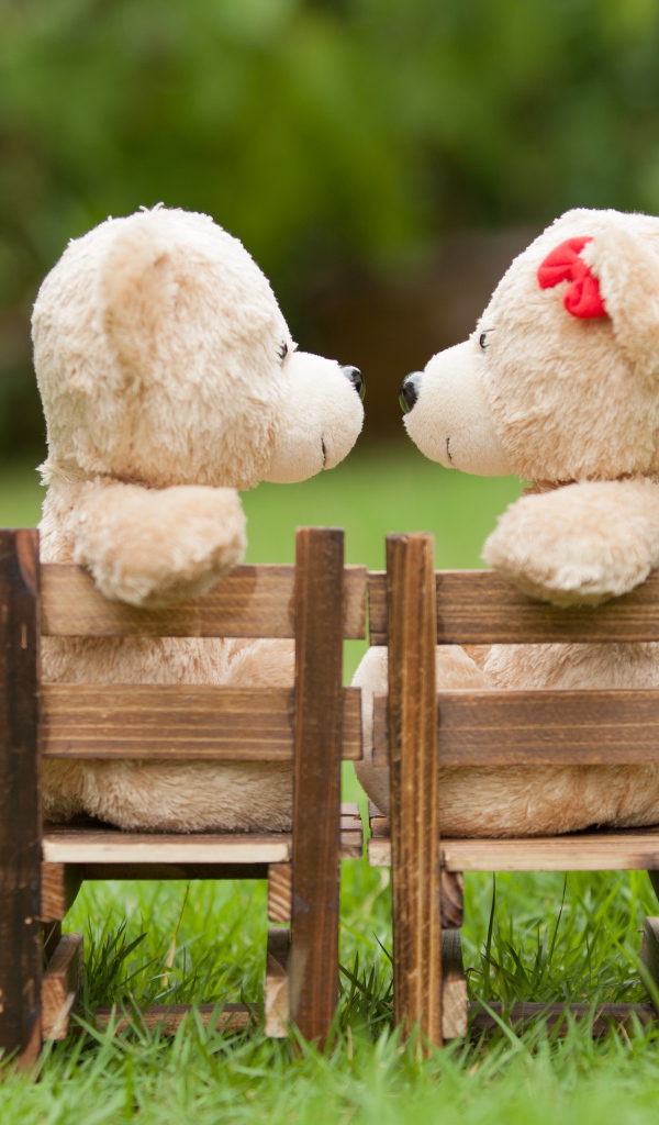 Два плюшевых мишки на деревянных креслах на зеленой траве