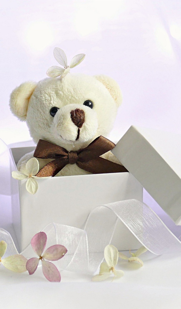 Белый плюшевый медведь в подарочной коробке