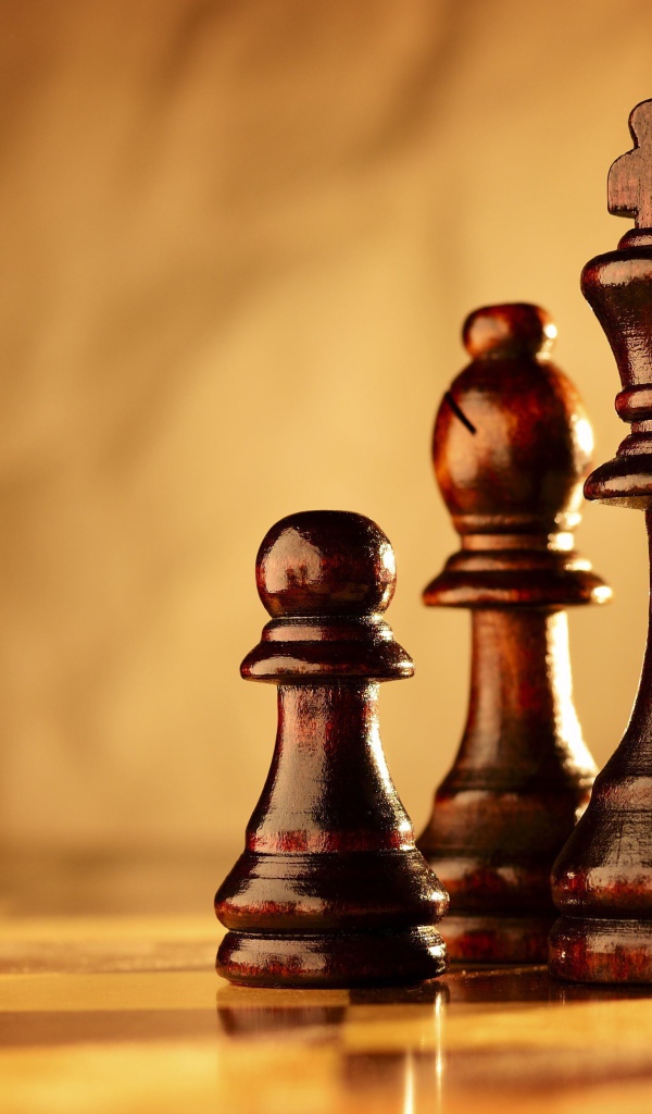 Деревянные шахматные фигуры на шахматной доске