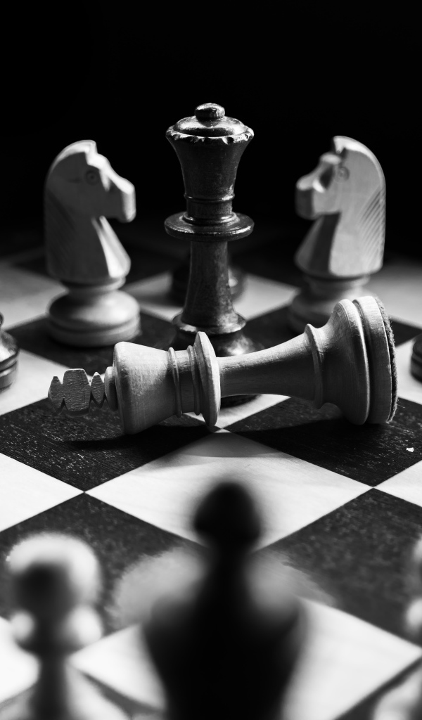 Деревянные шахматные фигуры на доске черно-белое фото