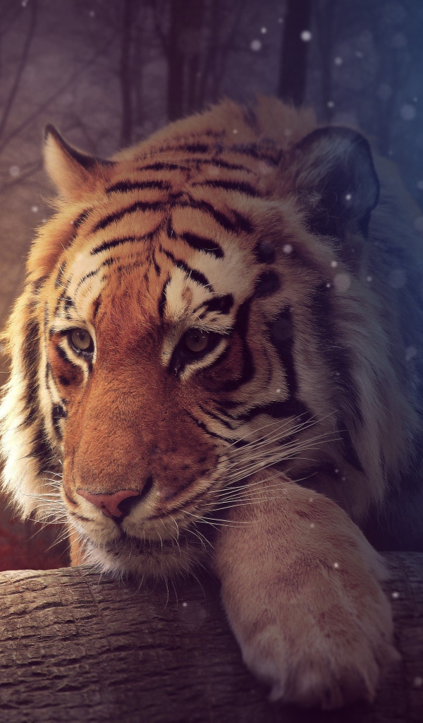 Большой тирг с волшебной огненной бабочкой, фэнтези