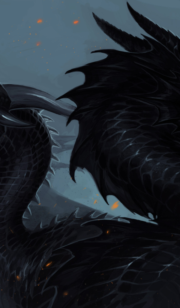 Два черных дракона, фэнтези