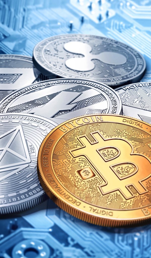 Coins Bitcoin and Monero are on the board