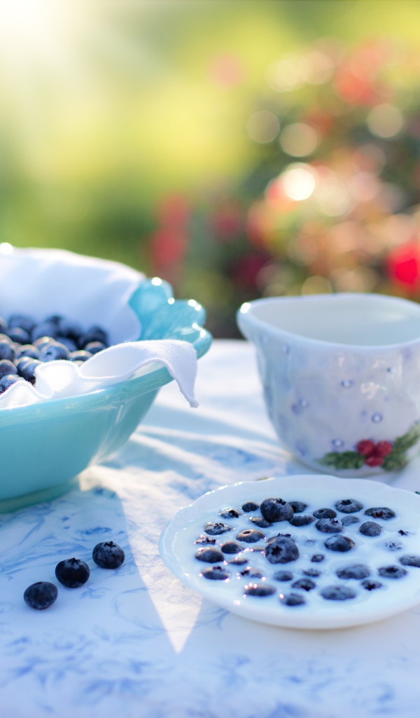 Черника с молоком на завтрак