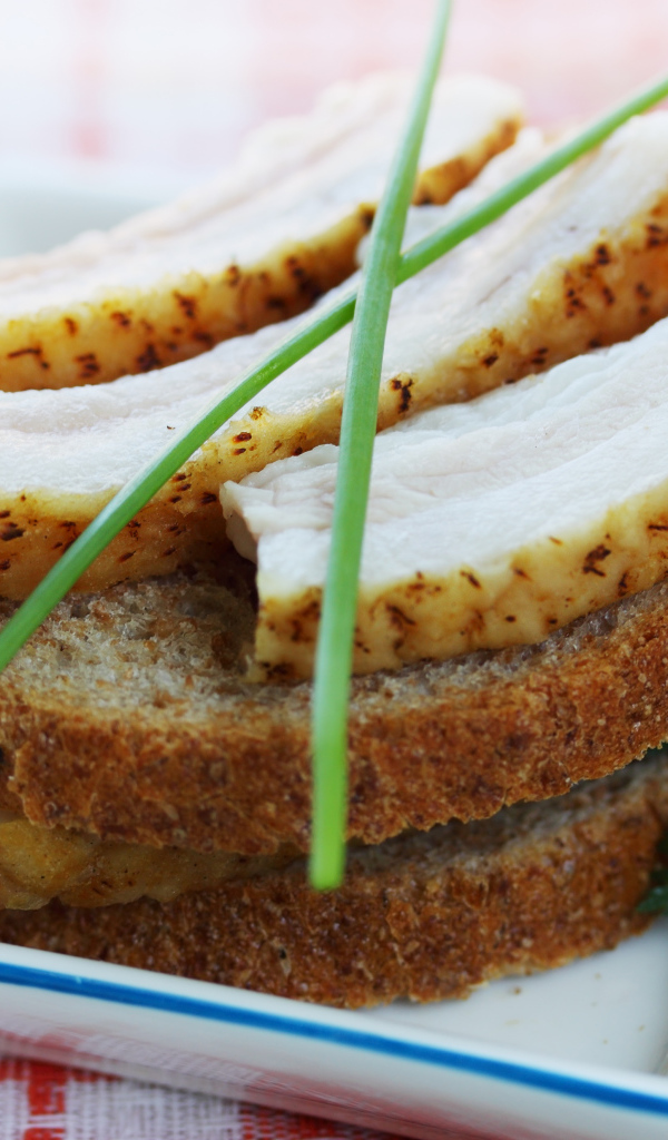 Черный хлеб с салом и зеленью на столе