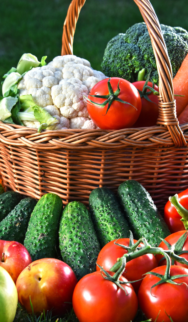 Свежие овощи и фрукты в корзине на зеленой траве