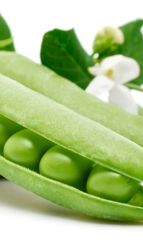 Зеленый горошек с цветами крупным планом на белом фоне