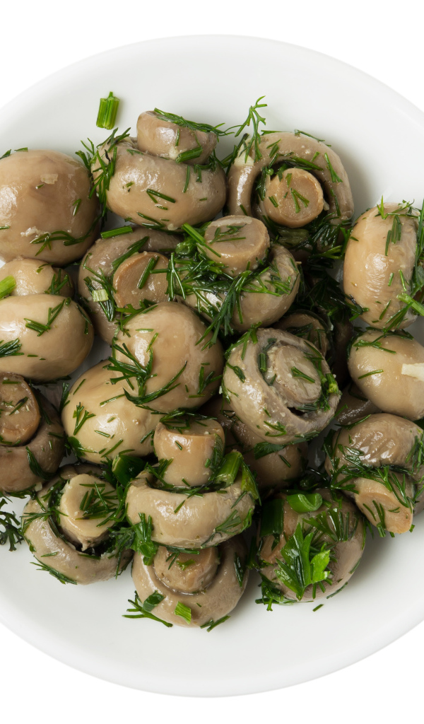 Маринованные шампиньоны с зеленью в белой тарелке на белом фоне 
