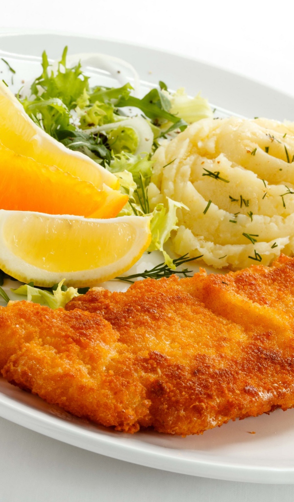 Картофельное пюре с мясом, кусочками апельсина и салатом на тарелке