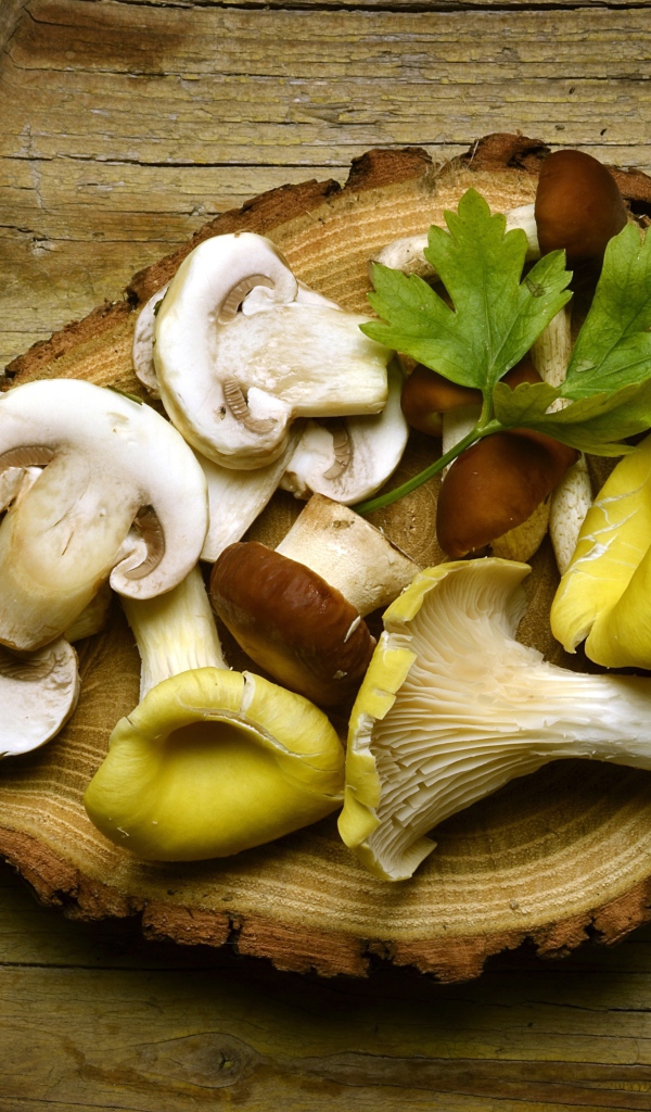 Грибы на деревянной разделочной доске