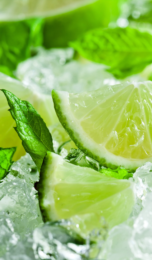 Кусочки свежего лайма с листьями мяты лежат на льду