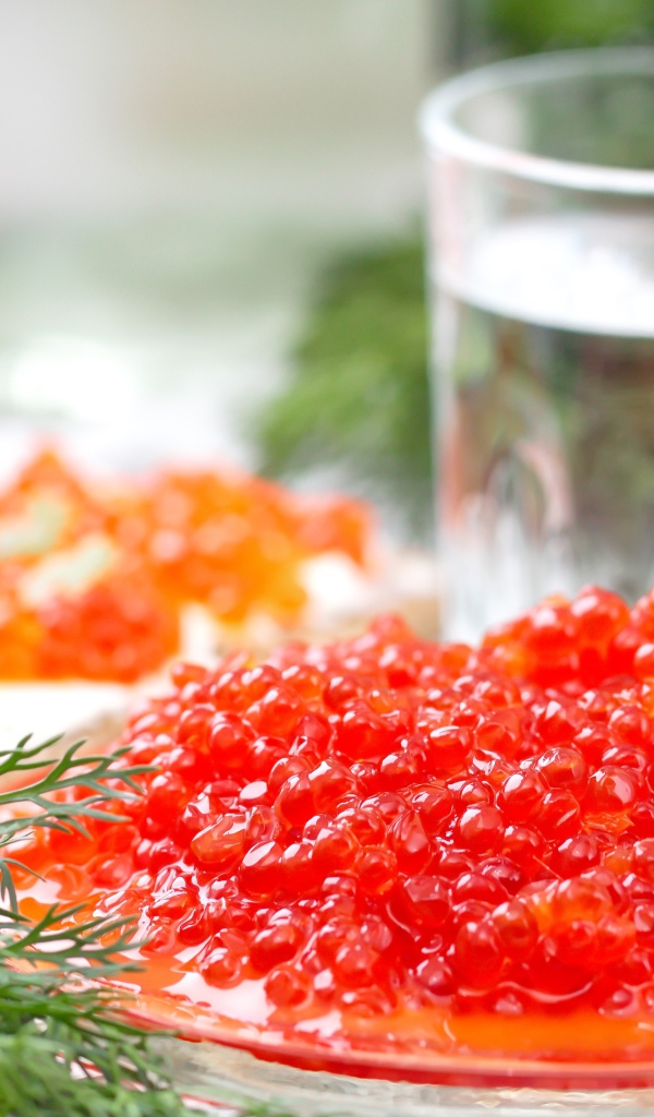 Красная икра с укропом на праздничном столе