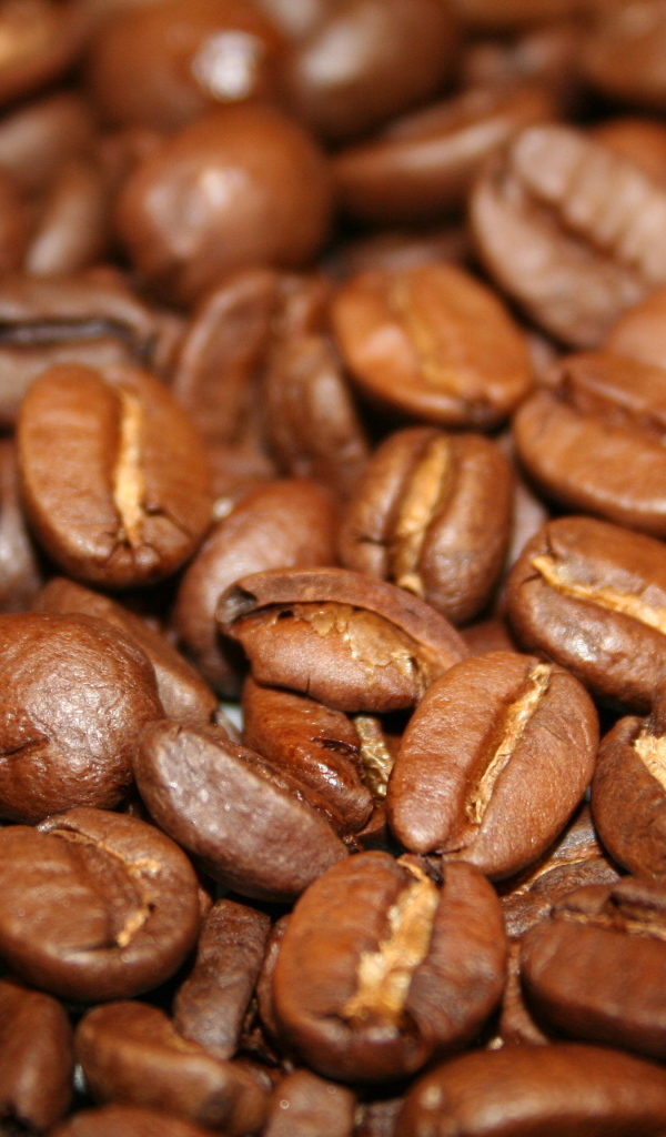 Жареные кофейные зерна крупным планом