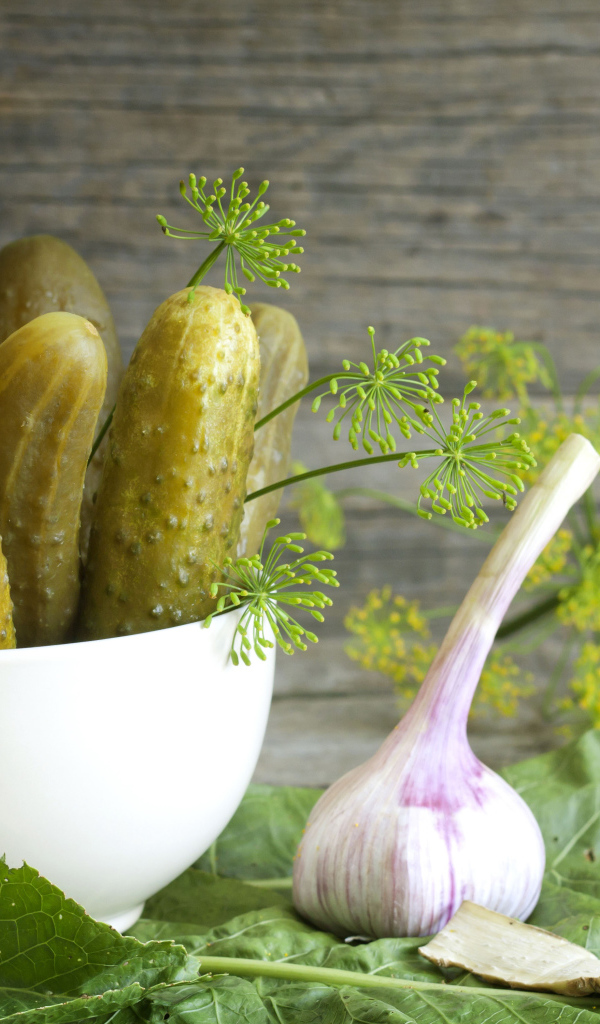 Соленые огурцы на столе с чесноком и укропом