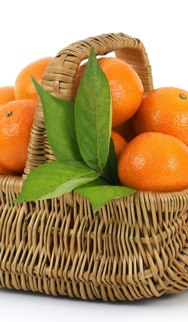 Корзина спелых, сочных оранжевых мандарин на белом фоне