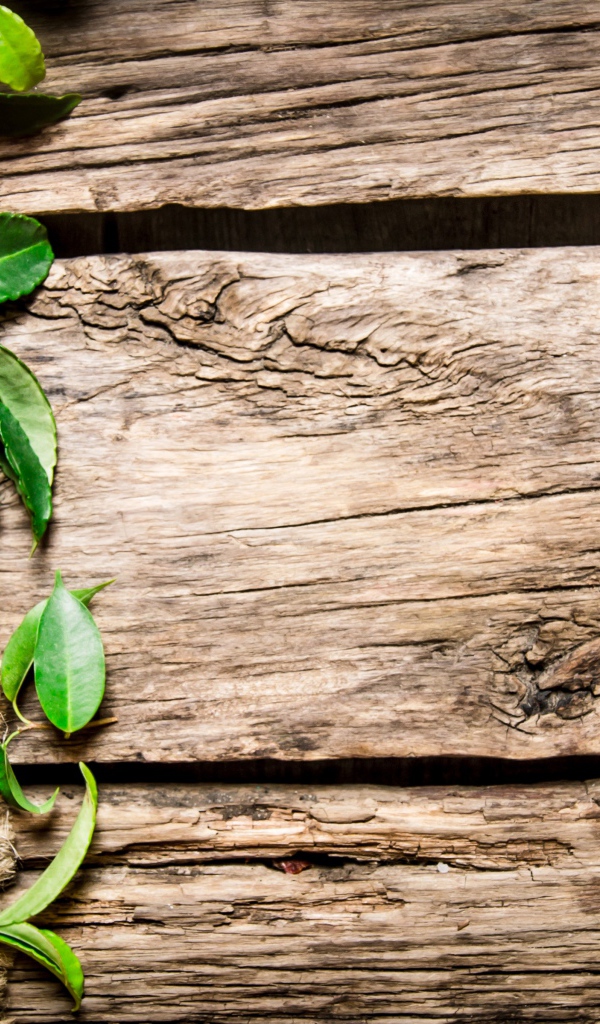 Яблоки на деревянном фоне, шаблон