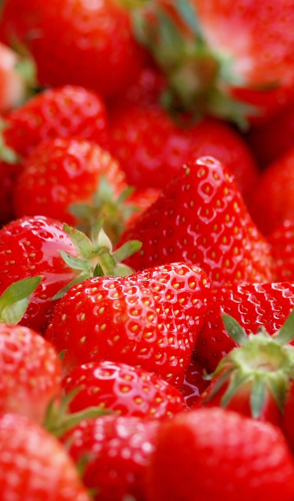 Красивая спелая красная клубника крупным планом