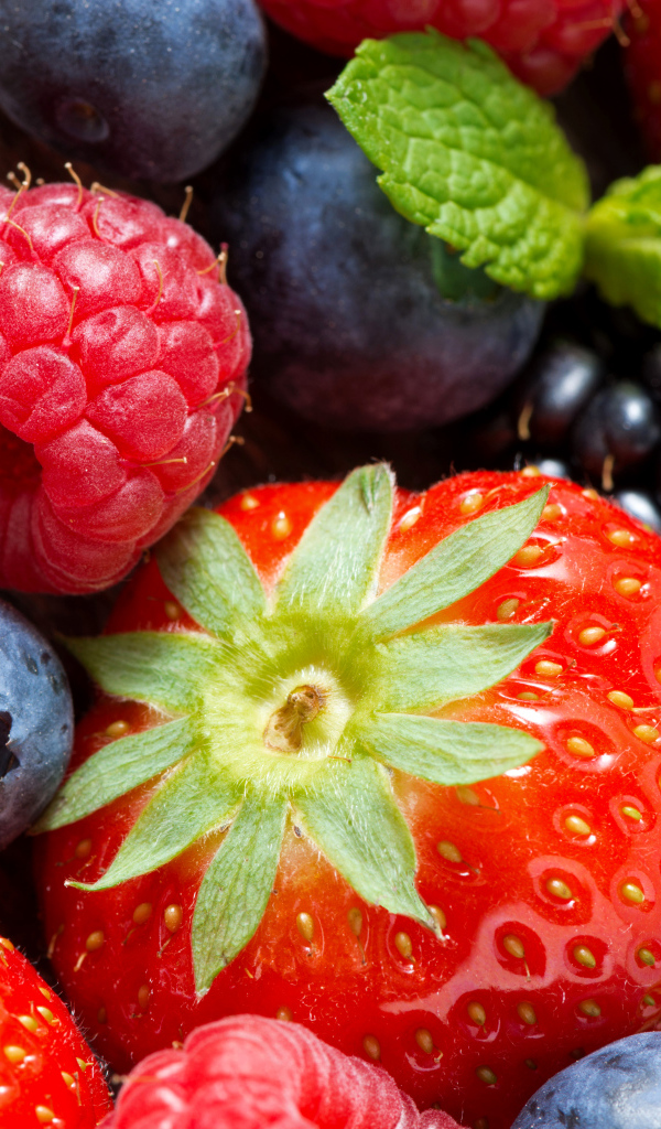 Ягоды малины, клубники, ежевики и черники крупным планом
