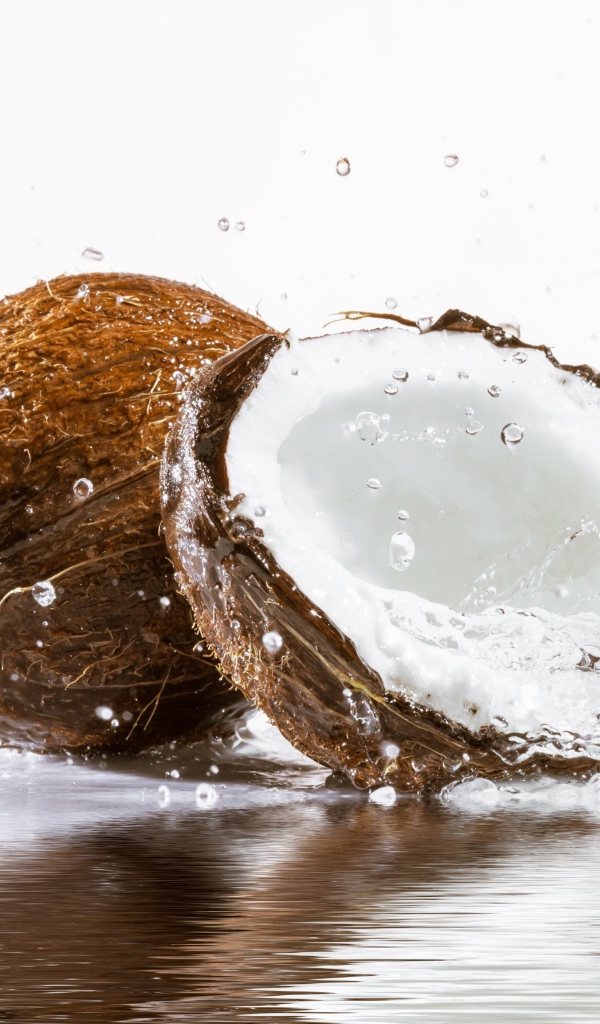 Кокосы в воде на белом фоне