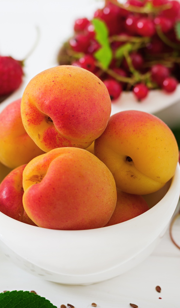 Свежие абрикосы на столе с ягодами крупным планом