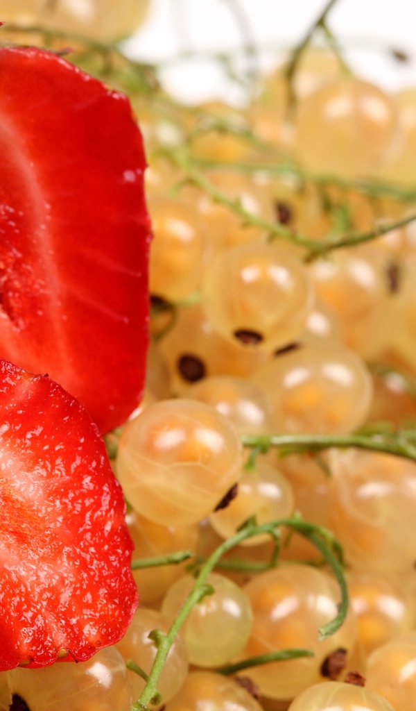 Свежая красная клубника с ягодами белой смородины