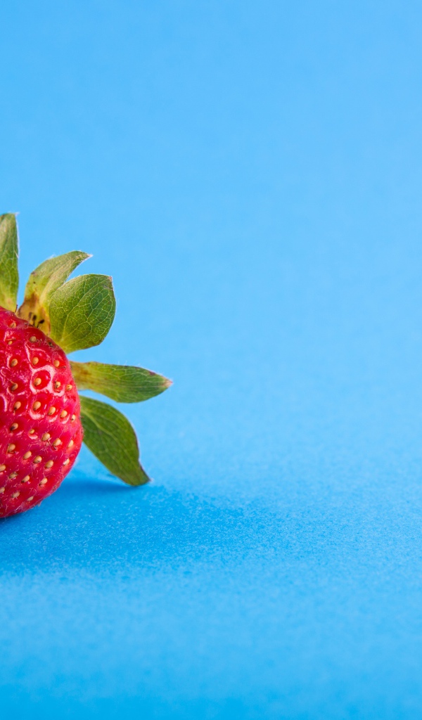Красная спелая клубника на голубом фоне