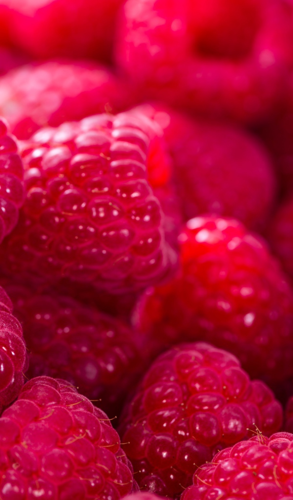 Спелая сочная малина крупным планом