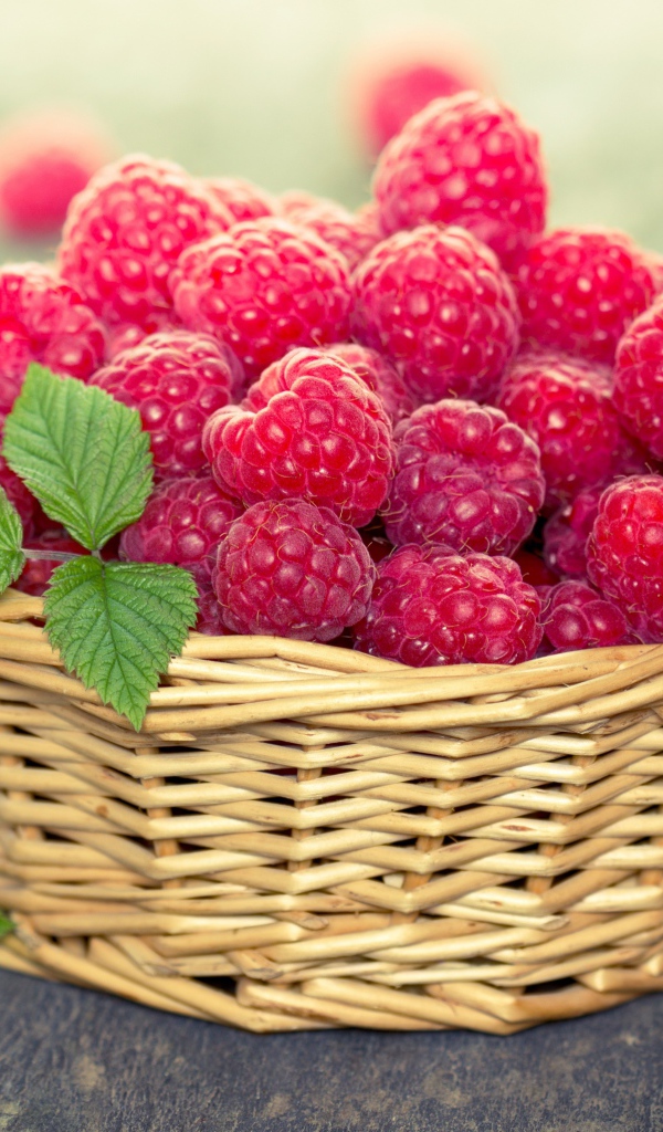 Спелая красная малина в корзине