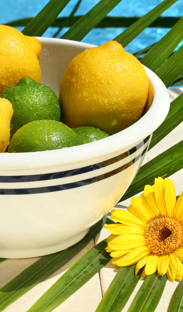 Желтые лимоны и зеленые лаймы в каплях воды на столе с пальмовым листом и цветком герберы