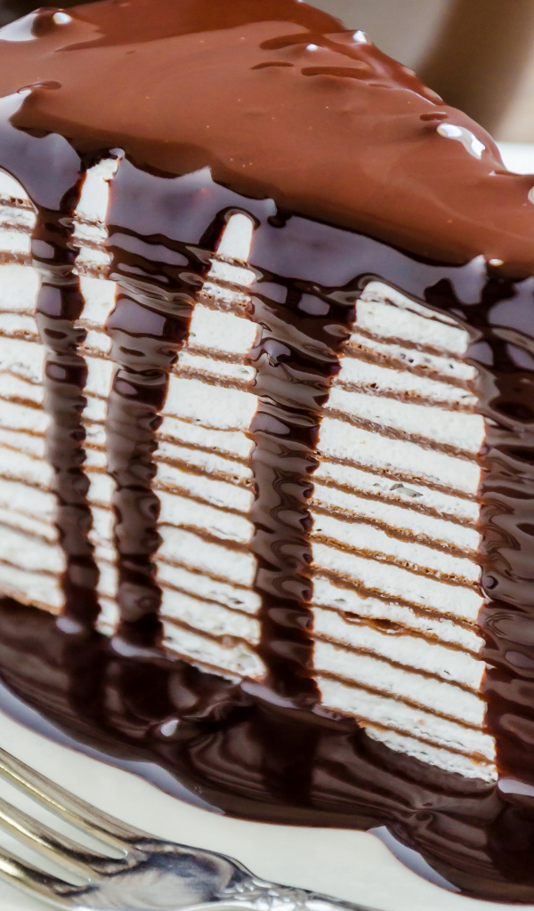 Аппетитный кусок торта с шоколадной глазурью 