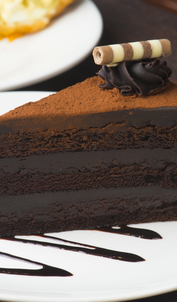 Кусок аппетитного шоколадного торта на белой тарелке