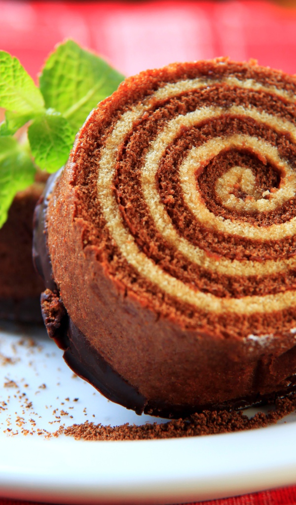 Кусок сладкого рулета с шоколадом и листом мяты на тарелке