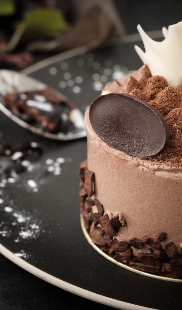 Аппетитный торт с шоколадом