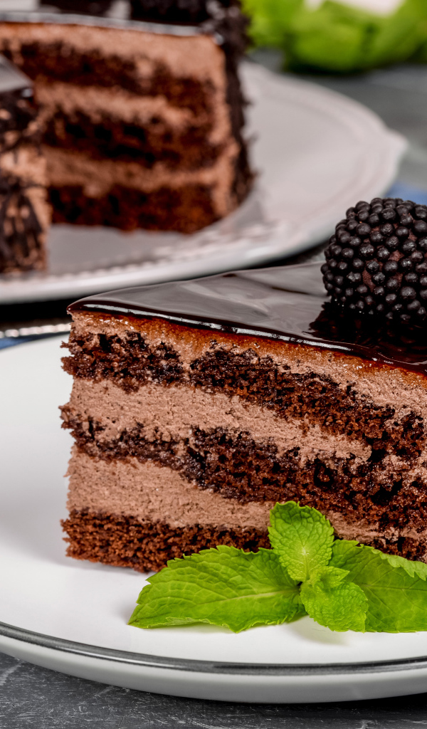 Аппетитный торт с шоколадом и кремом на тарелке