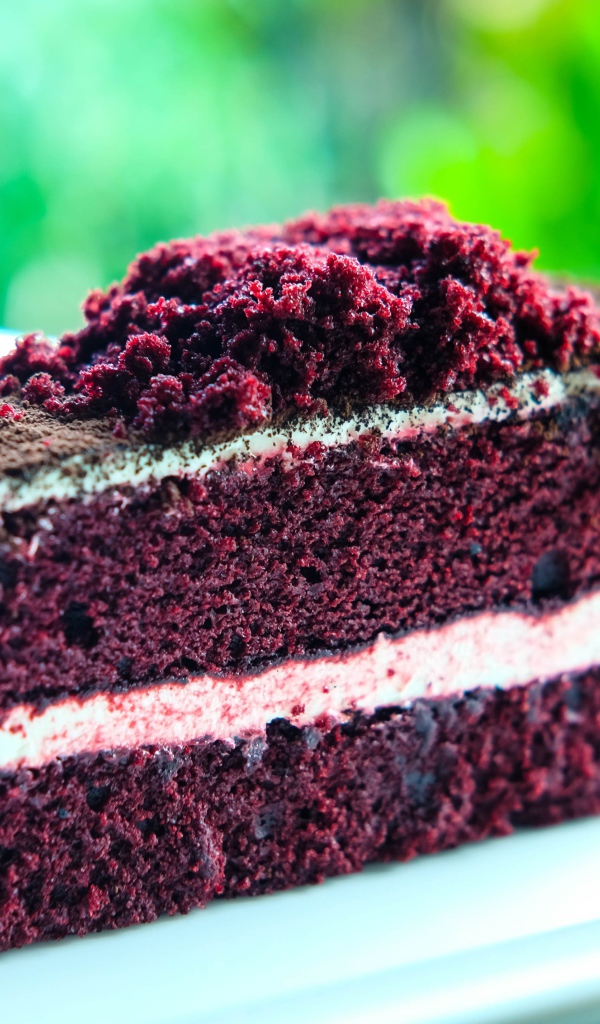 Аппетитный кусок торта с кремом