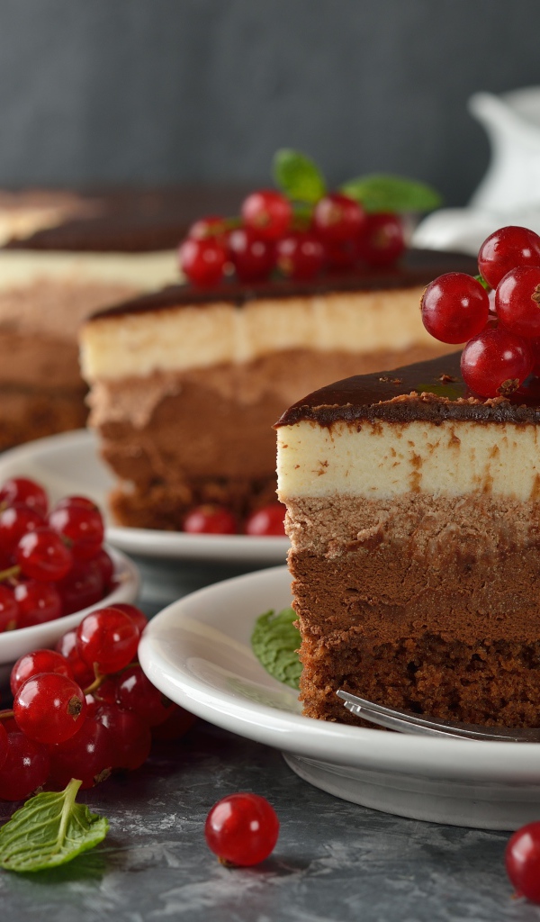 Аппетитные куски торта с ягодами красной смородины