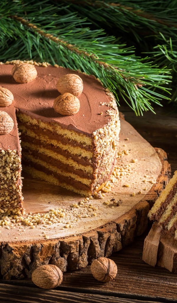 Торт с шоколадом и орехами на столе с еловой веткой