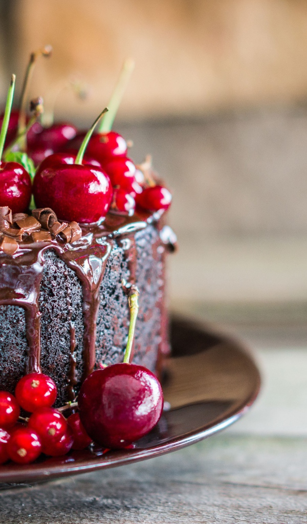 Шоколадный торт с ягодами вишни и красной смородины