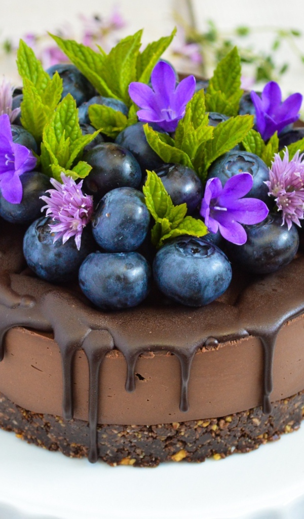 Шоколадный торт с ягодами черники и цветами 
