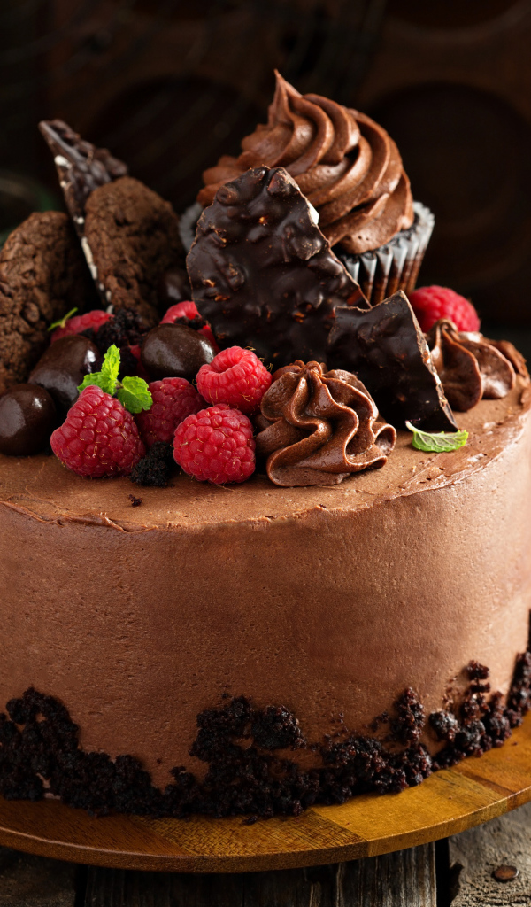 Шоколадный торт со сладостями и ягодами малины