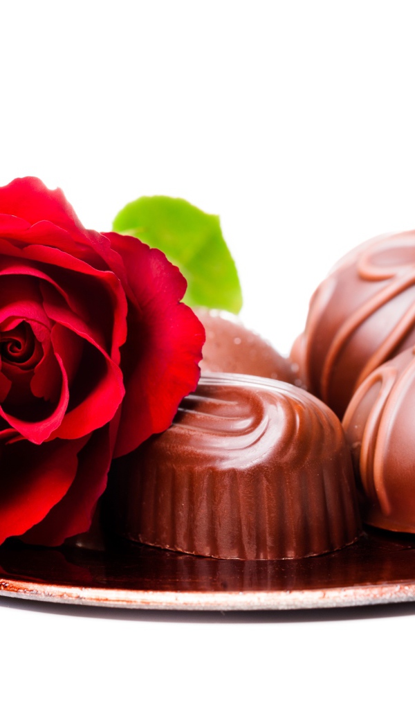 Шоколадные конфеты на тарелке с красной розой на белом фоне