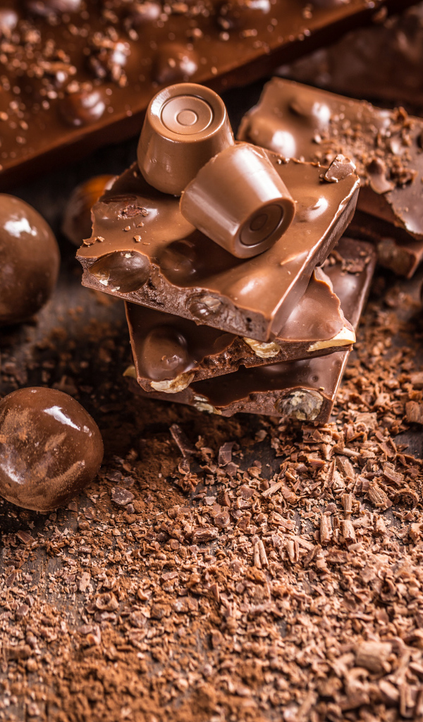 Шоколадные конфеты и плитки молочного шоколада с фундуком 